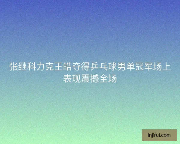 张继科力克王皓夺得乒乓球男单冠军场上表现震撼全场